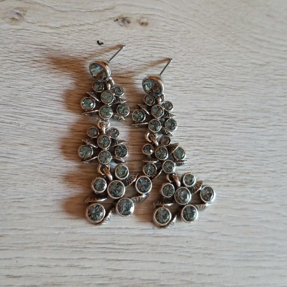 Blue Earrings